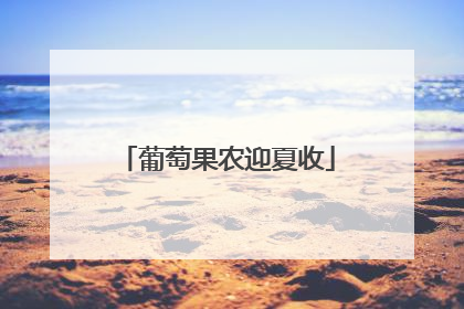 葡萄果农迎夏收
