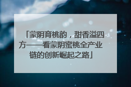 蒙阴育桃韵，甜香溢四方——看蒙阴蜜桃全产业链的创新崛起之路