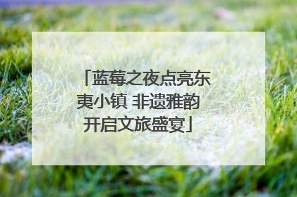 蓝莓之夜点亮东夷小镇 非遗雅韵开启文旅盛宴