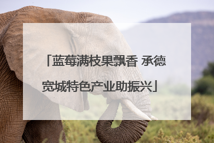 蓝莓满枝果飘香 承德宽城特色产业助振兴
