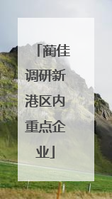 蔺佳调研新港区内重点企业