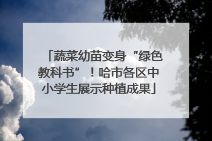 蔬菜幼苗变身“绿色教科书”！哈市各区中小学生展示种植成果
