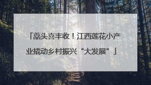 藠头喜丰收！江西莲花小产业撬动乡村振兴“大发展”