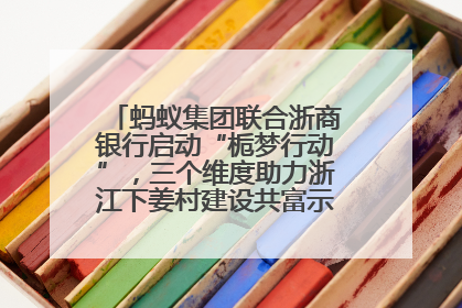 蚂蚁集团联合浙商银行启动“栀梦行动”，三个维度助力浙江下姜村建设共富示范区示范点