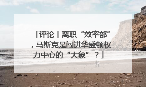 评论丨离职“效率部”，马斯克是闯进华盛顿权力中心的“大象”？