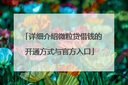 详细介绍微粒贷借钱的开通方式与官方入口