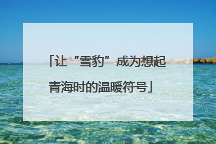 让“雪豹”成为想起青海时的温暖符号
