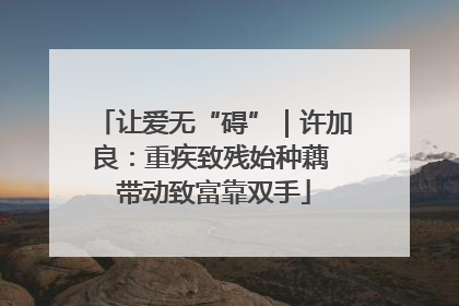 让爱无“碍”｜许加良：重疾致残始种藕 带动致富靠双手