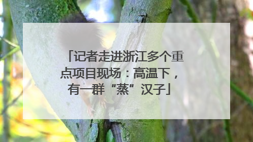 记者走进浙江多个重点项目现场：高温下，有一群“蒸”汉子