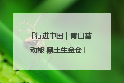 行进中国｜青山蓄动能 黑土生金仓