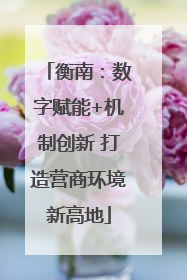 衡南：数字赋能+机制创新 打造营商环境新高地