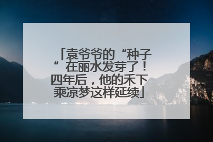 袁爷爷的“种子”在丽水发芽了！四年后，他的禾下乘凉梦这样延续