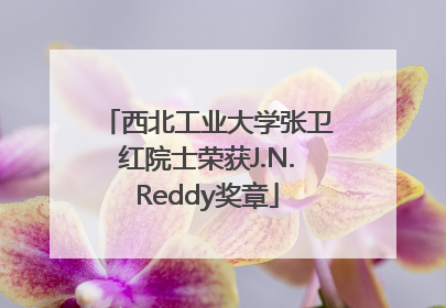 西北工业大学张卫红院士荣获J.N.Reddy奖章