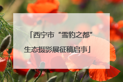 西宁市“雪豹之都”生态摄影展征稿启事