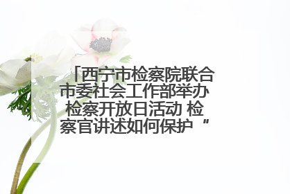 西宁市检察院联合市委社会工作部举办检察开放日活动 检察官讲述如何保护“少年的你”