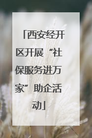 西安经开区开展“社保服务进万家”助企活动