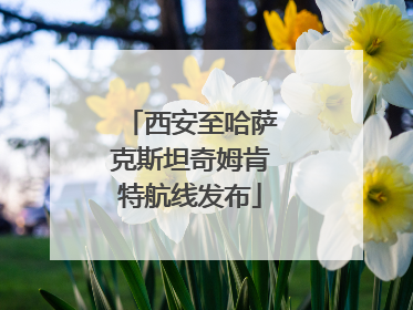 西安至哈萨克斯坦奇姆肯特航线发布