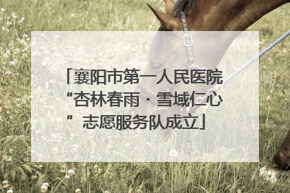 襄阳市第一人民医院“杏林春雨・雪域仁心”志愿服务队成立