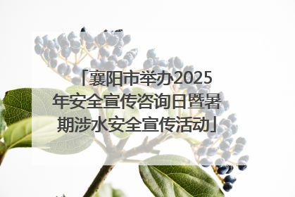 襄阳市举办2025年安全宣传咨询日暨暑期涉水安全宣传活动