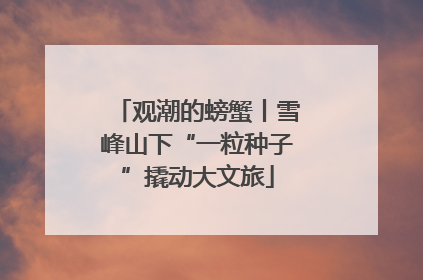 观潮的螃蟹丨雪峰山下“一粒种子”撬动大文旅
