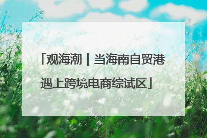 观海潮｜当海南自贸港遇上跨境电商综试区