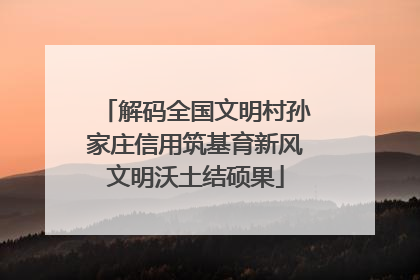 解码全国文明村孙家庄信用筑基育新风文明沃土结硕果