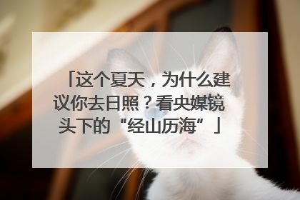 这个夏天，为什么建议你去日照？看央媒镜头下的“经山历海”