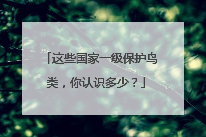 这些国家一级保护鸟类，你认识多少？