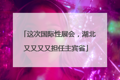 这次国际性展会，湖北又又又又担任主宾省