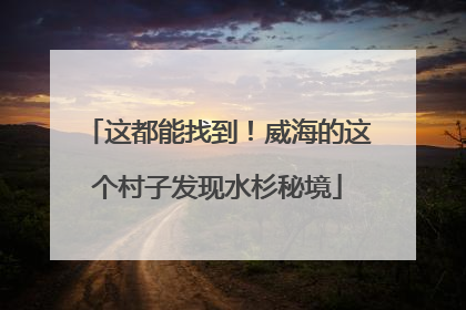 这都能找到！威海的这个村子发现水杉秘境
