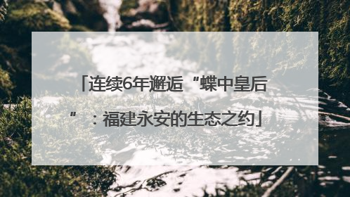 连续6年邂逅“蝶中皇后”：福建永安的生态之约