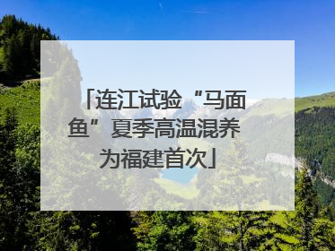 连江试验“马面鱼”夏季高温混养 为福建首次
