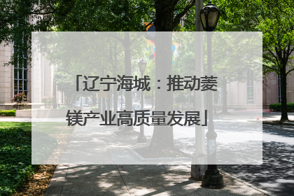 辽宁海城：推动菱镁产业高质量发展