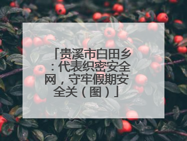 贵溪市白田乡：代表织密安全网，守牢假期安全关（图）