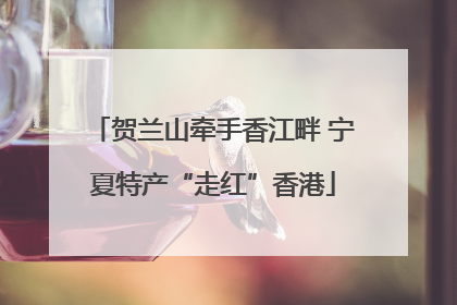 贺兰山牵手香江畔 宁夏特产“走红”香港