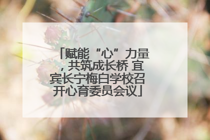 赋能“心”力量，共筑成长桥 宜宾长宁梅白学校召开心育委员会议