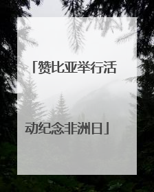 赞比亚举行活动纪念非洲日