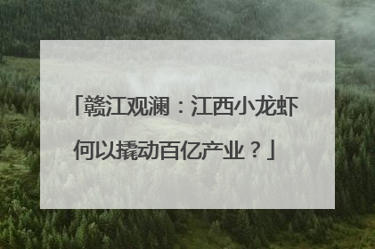赣江观澜：江西小龙虾何以撬动百亿产业？