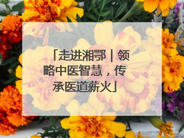 走进湘鄂｜领略中医智慧，传承医道薪火