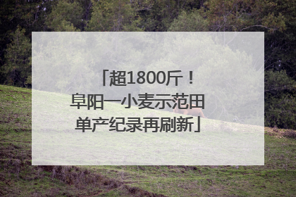 超1800斤！阜阳一小麦示范田单产纪录再刷新