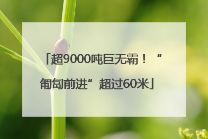 超9000吨巨无霸！“匍匐前进”超过60米