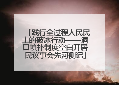 践行全过程人民民主的破冰行动——洞口填补制度空白开居民议事会先河侧记