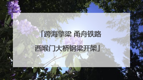 跨海擎梁 甬舟铁路西堠门大桥钢梁开架
