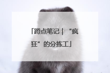 蹲点笔记｜“疯狂”的分拣工