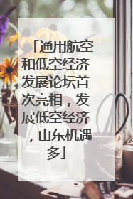 通用航空和低空经济发展论坛首次亮相，发展低空经济，山东机遇多