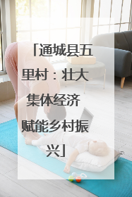 通城县五里村：壮大集体经济 赋能乡村振兴