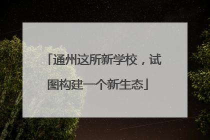 通州这所新学校，试图构建一个新生态