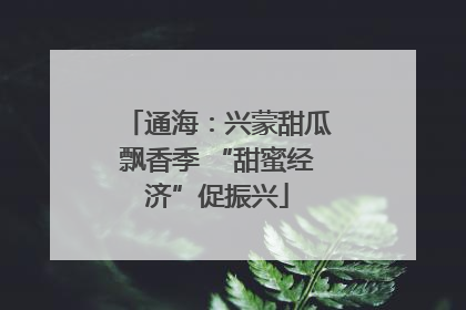 通海：兴蒙甜瓜飘香季 “甜蜜经济”促振兴