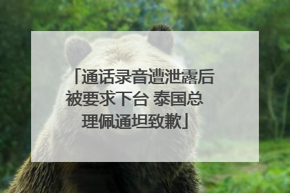通话录音遭泄露后被要求下台 泰国总理佩通坦致歉