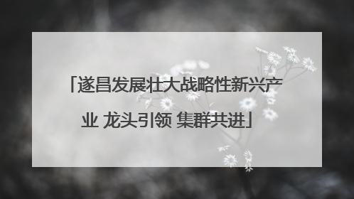 遂昌发展壮大战略性新兴产业 龙头引领 集群共进